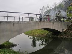 -桂溪生态公园