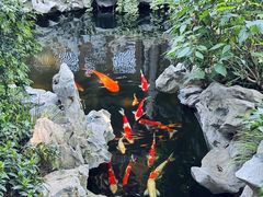 -鲤院·新中式美学·庭院餐厅(夫子庙店)