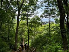 -香炉山国家森林公园