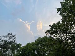 -梧桐山风景名胜区