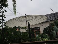 -Jo's Garden