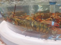 -南海底小海鲜·湘菜(鲁巷吴家湾店)