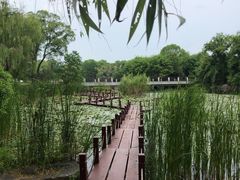 -苏州金鸡湖大酒店