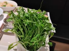 -浩爷羊蝎子火锅(望京店)