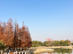 -瑶湖郊野森林公园