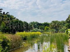 -中国科学院西双版纳热带植物园
