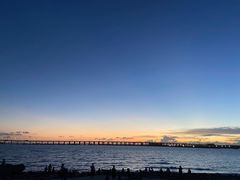 -宝安西湾红树林湿地公园