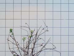 -倦勤咖啡(中山南路店)