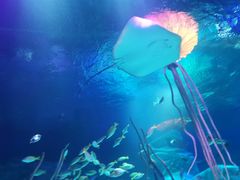 -沈阳海洋探索中心