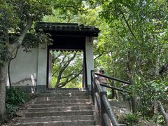 -上海佘山国家森林公园天马山园