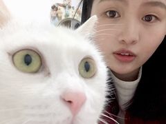 -黑马眼科·近视手术
