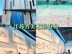-江苏省美术馆(长江路新馆)