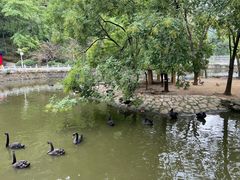 -黔灵山公园