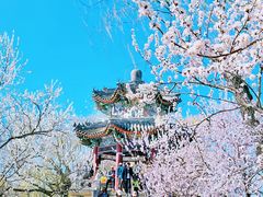 -颐和园