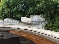 -大连金石滩绿发温泉假日酒店