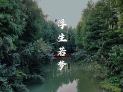 -上海欢乐谷