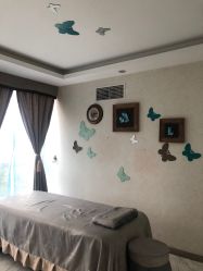 -健身堂科技美肌SPA