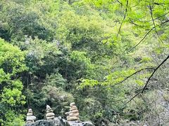 -石台牯牛降景区