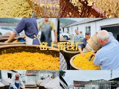 -苏州市吴中区光福窑上花果蜜饯厂