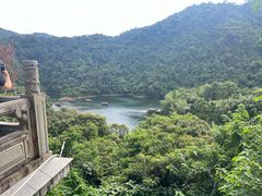 -鼎湖山风景区