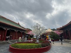 -珠海圆明新园