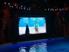 -波塞冬海底世界