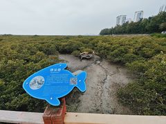 -北海金海湾红树林生态旅游区