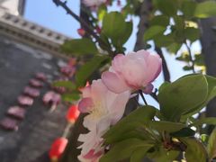 -卫鼎轩·曹公馆(鼓楼店)