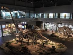 -自贡恐龙博物馆