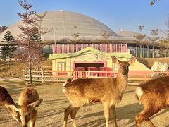-盈香心动乐园