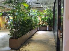 -大视光学•LINDBERG林德伯格•全球手工眼镜集合店(王府井店)