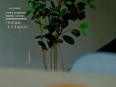 -夏佐CHASEL(横店康庄路店)