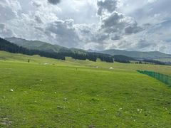 -新疆那拉提国家旅游度假区