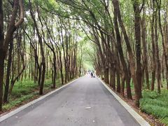 -同里国家湿地公园