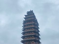 -微山湖红荷湿地景区