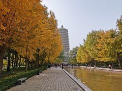 -玲珑塔公园