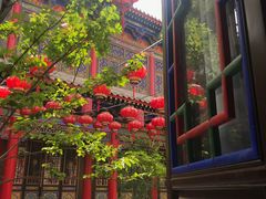 -渭南桃花源民俗文化园