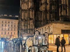 -斯蒂芬主教座堂(Stephansdom)