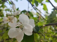 -元大都城垣遗址公园