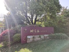 -桃花岛景观公园