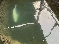 -蓝湾碧波·老字号·疍家非遗海上餐厅