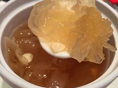 海底椰雪耳糖水-池记(尖沙咀店)