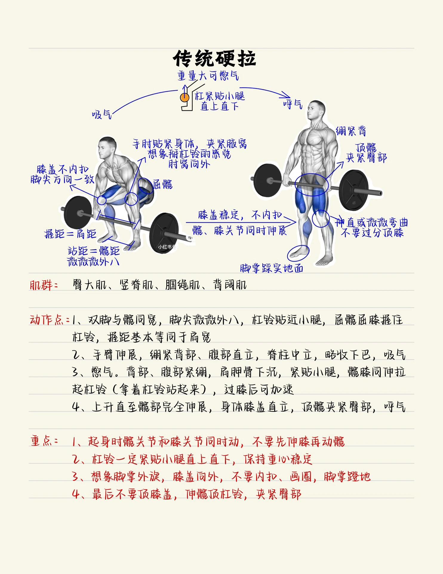 传统硬拉和直腿硬拉图片