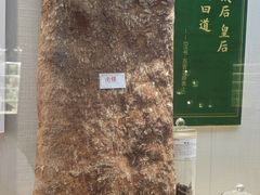 -广东中医药博物馆