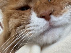-平行世界·猫咖(首经贸店)