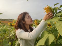 -映月湖中央公园