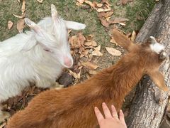-祥源·阜阳生态乐园