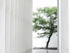 -中国宣纸文化园