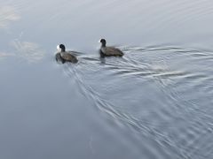 -野鸭湖国家湿地公园