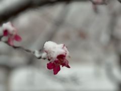 -大连外国语大学(旅顺校区)